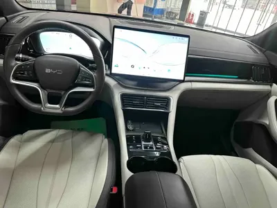BYD PLUS New Energy