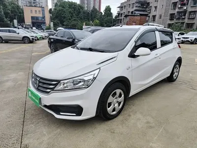 Baojun 310