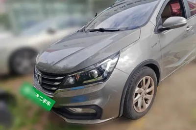 Baojun 310W