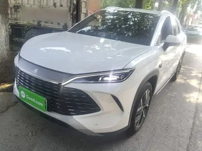 BYD L DM-i