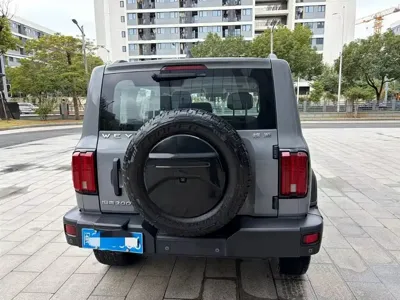Tank Tank 300