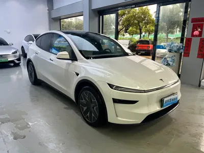 Tesla Model Y L