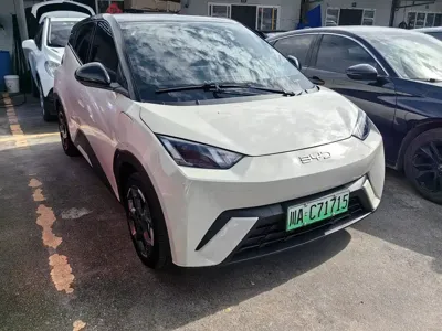 BYD Seagull
