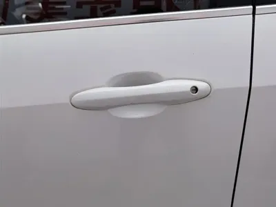 WEY Wey VV6