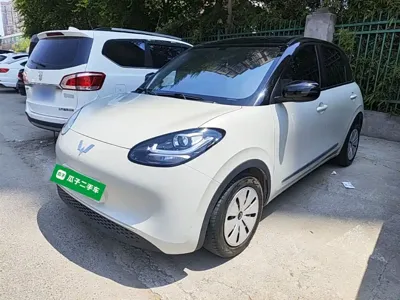 Wuling Bingo