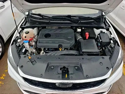 Geely Binrui