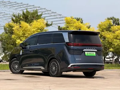 Denza Denza D9