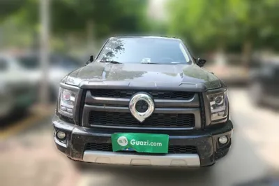 Great Wall King Kong Poer