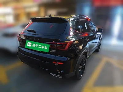 Roewe RX5 New Energy