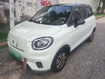 Leapmotor Leapmotor T03