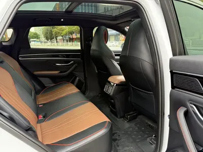 BYD PLUS