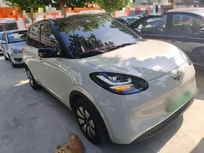 Wuling Bingo