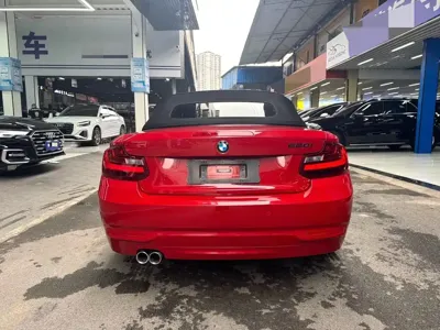 BMW 2 Series (Import)
