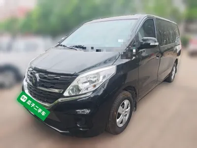 Forthing Lingzhi PLUS