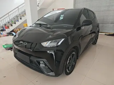 BYD Seagull