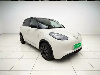 Wuling Bingo