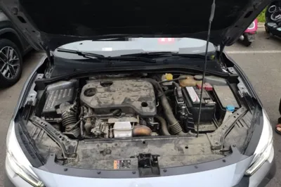 MG 6