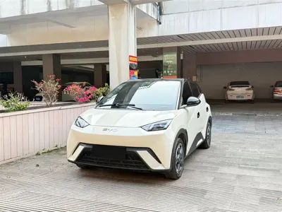 BYD Seagull