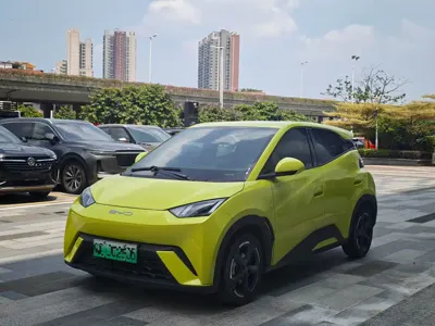 BYD Seagull