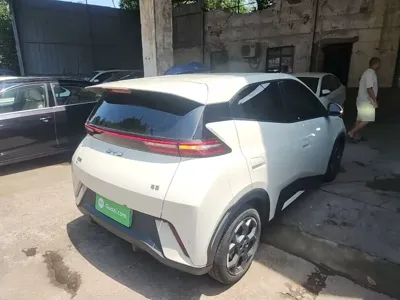 BYD Seagull