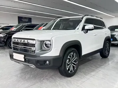 Haval Big Dog