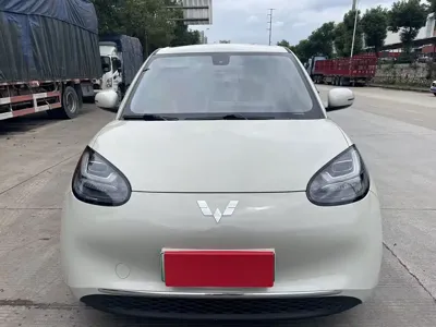 Wuling Bingo
