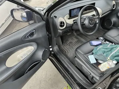 Wuling Bingo