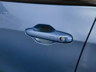 NETA Neta V