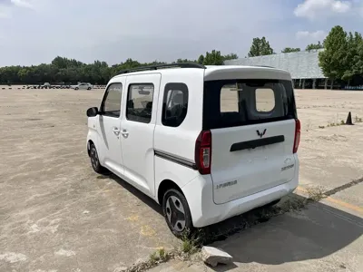 Wuling Zhiguang EV