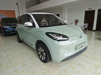 Wuling Bingo