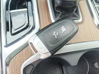 Hongqi Hongqi E-HS9