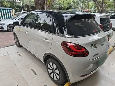 Wuling Bingo