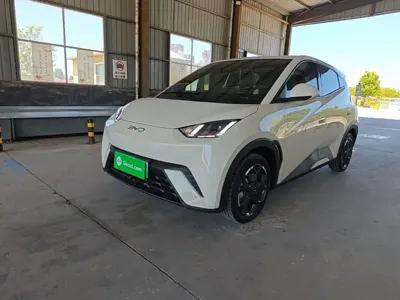 BYD Seagull