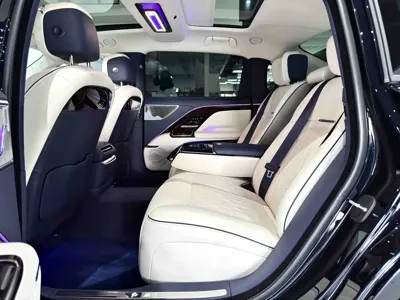 Hongqi 红旗金葵花国雅