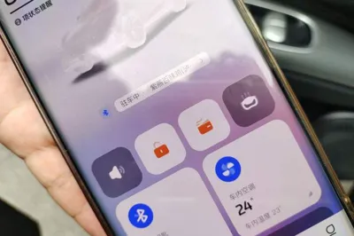 IM LS6