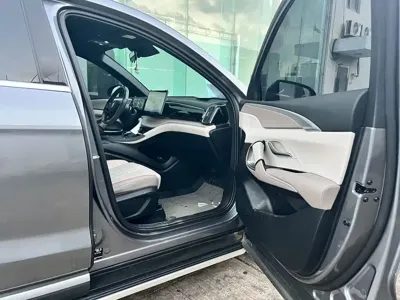 BYD Pro New Energy