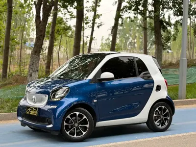 Smart Smart Fortwo