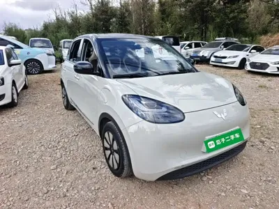Wuling Bingo