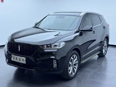 WEY Wey VV6