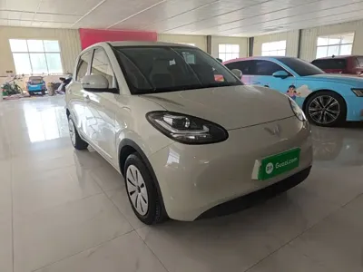 Wuling Bingo