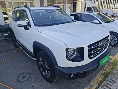 Haval Big Dog