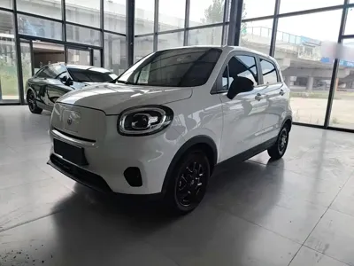 Leapmotor Leapmotor T03