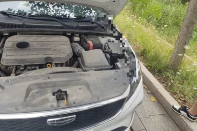 Geely Auto Binray