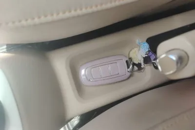 Geely Galaxy Panda