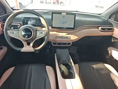 BYD Seagull