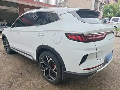BYD PLUS