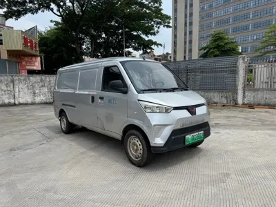 Wuling Wuling EV50