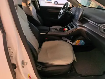 BYD Destroyer 05