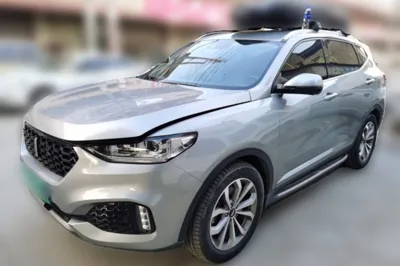 WEY VV6