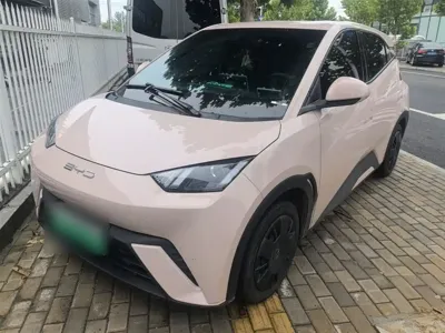 BYD Seagull